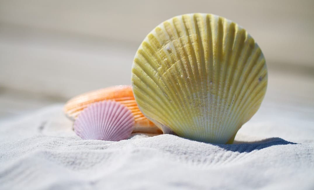 Execute Python with Shebang - Make Your Scripts Executable